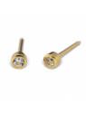 Studex System 75 Cubic zirconia earrings in a full frame, gold 2mm