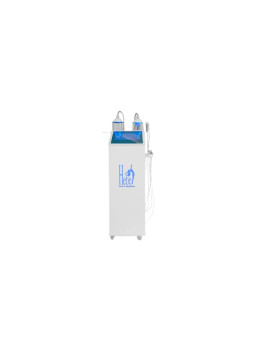 BSH-11 Wasserstoffreinigung + Schulung